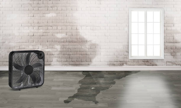 Water damage restoration mold remediation in TN