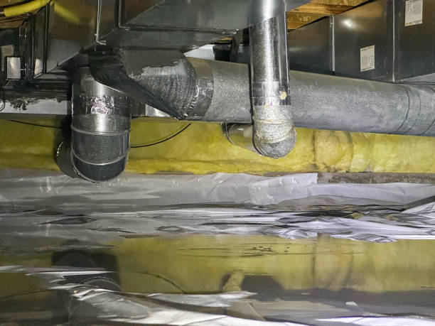 Best Professional water damage repair  in Dandridge, TN