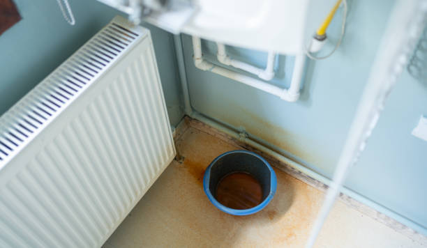 Best Basement water damage restoration  in Dandridge, TN